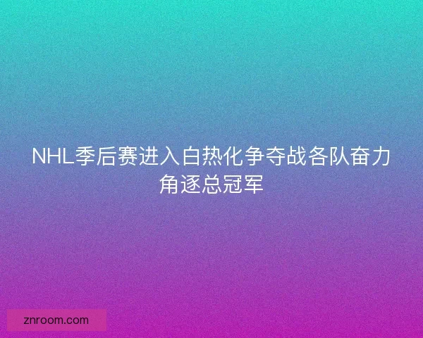 NHL季后赛进入白热化争夺战各队奋力角逐总冠军